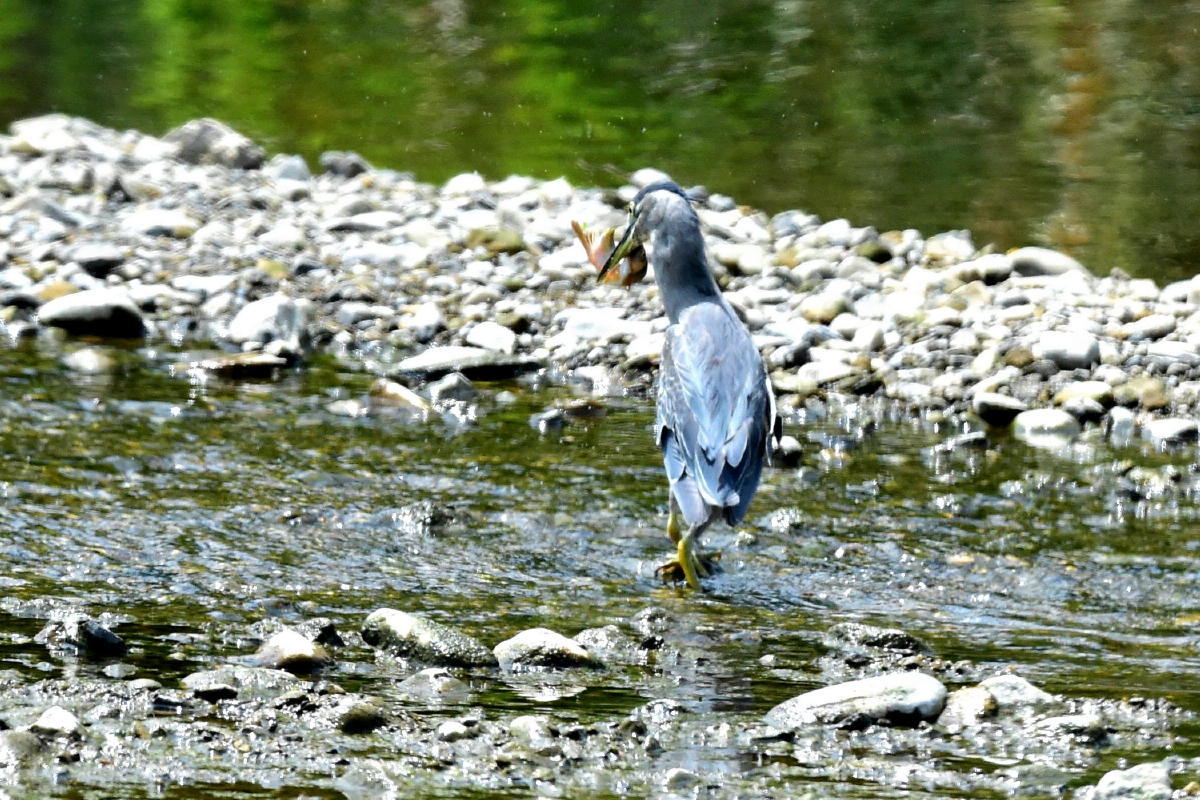 c0144588_09230880.jpg