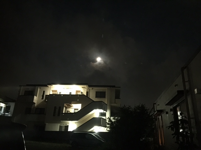 c0064389_1004975.jpg