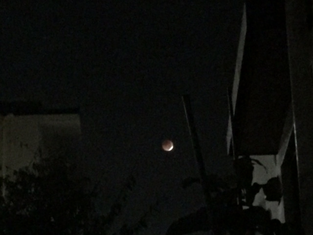 c0064389_1005032.jpg