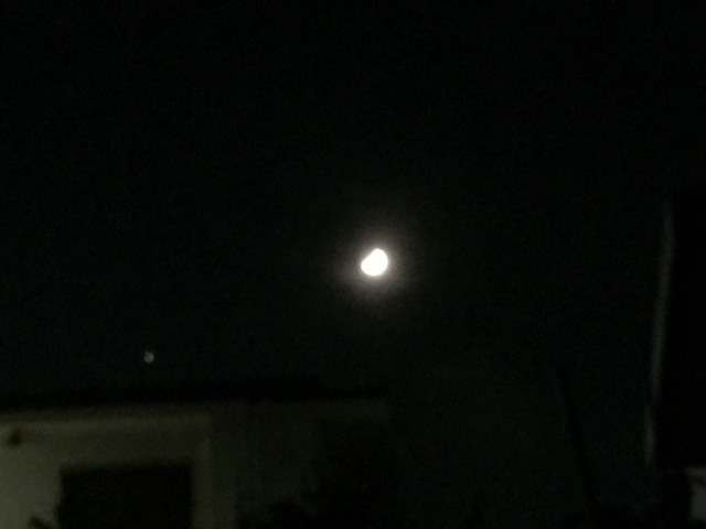 c0064389_1005042.jpg