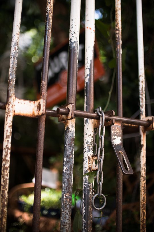 Rusty Chic Gate At A Lovely Florist_d0353489_19282886.jpg