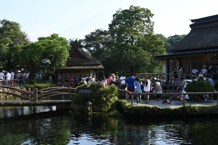 a0127090_16121036.jpg