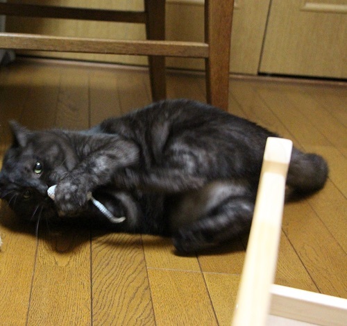 LOVE!ちゅー_a0333195_07480510.jpg