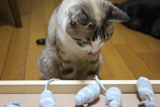 LOVE!ちゅー_a0333195_07485771.jpg