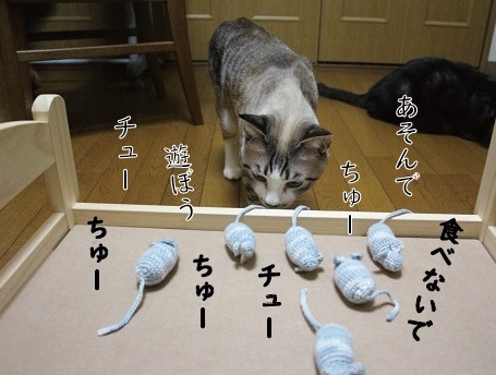 LOVE!ちゅー_a0333195_07534140.jpg