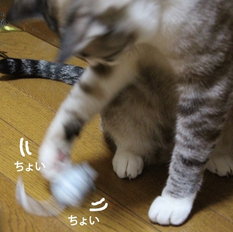 LOVE!ちゅー_a0333195_08170400.jpg