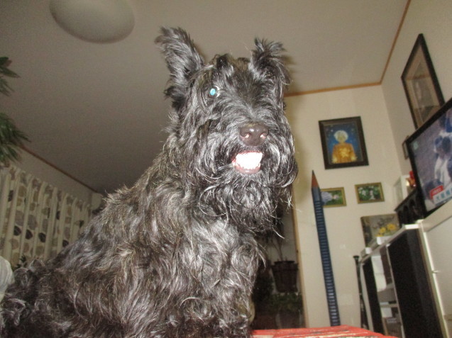 a0091796_01191330.jpeg