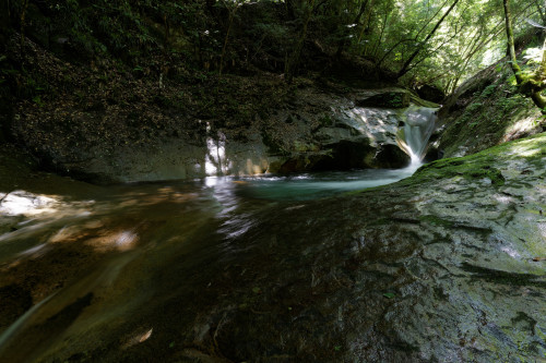 e0366896_23221549.jpg