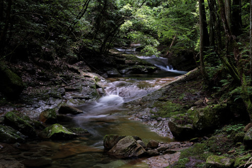 e0366896_23225825.jpg