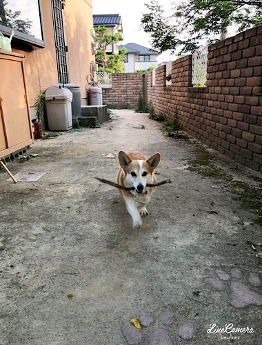 f0056297_10023605.jpeg