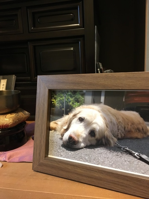 b0275998_16121095.jpeg