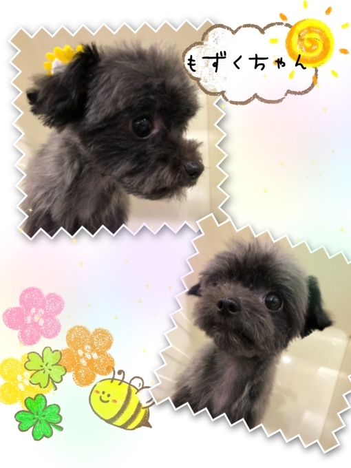 d0269898_17591890.jpeg