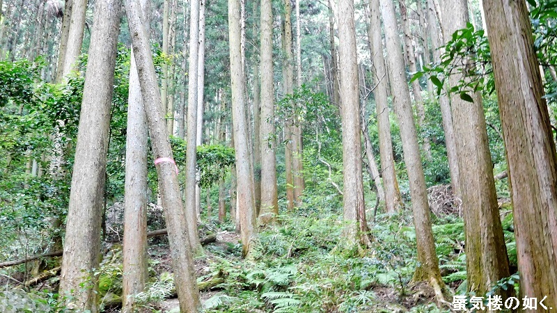 「ヤマノススメサードシーズン」舞台探訪001 東吾野から子ノ権現、山は天覚山のみですが(第3話その１)_e0304702_07222170.jpg