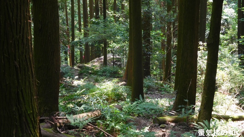 「ヤマノススメサードシーズン」舞台探訪001 東吾野から子ノ権現、山は天覚山のみですが(第3話その１)_e0304702_07230484.jpg