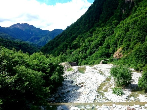 f0266202_15190398.jpg