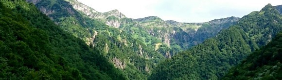 f0266202_15213612.jpg