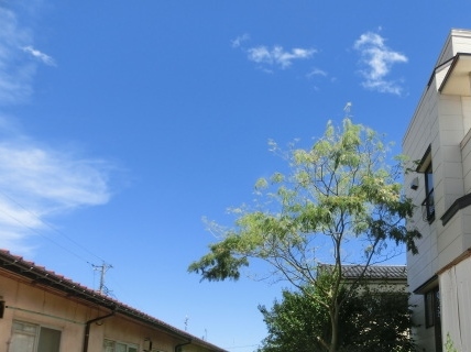 a0203003_10380979.jpg
