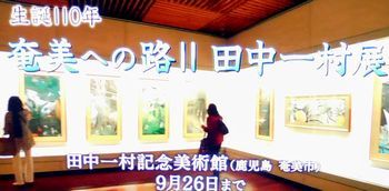 田中一村　＠日曜美術館_b0044404_15331654.jpg