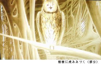 田中一村　＠日曜美術館_b0044404_16034338.jpg