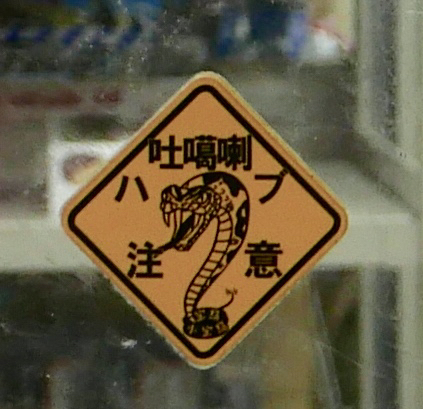 海界の村を歩く 東シナ海 宝島_d0147406_05503460.jpg