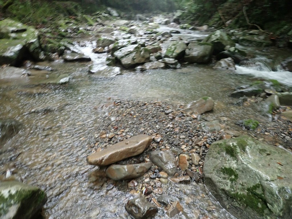 嵐の後 雨の渓 第３の釣り