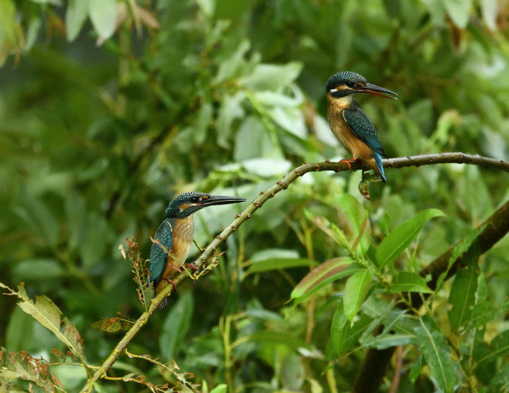 d0382609_20325558.jpg