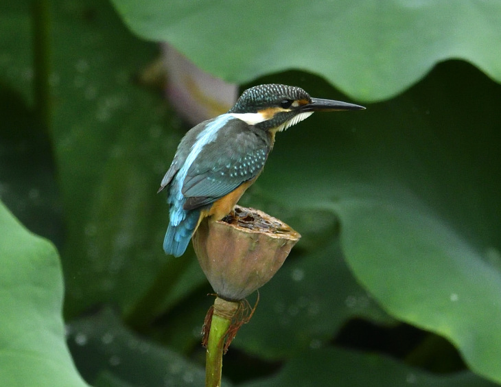 d0382609_20490198.jpg
