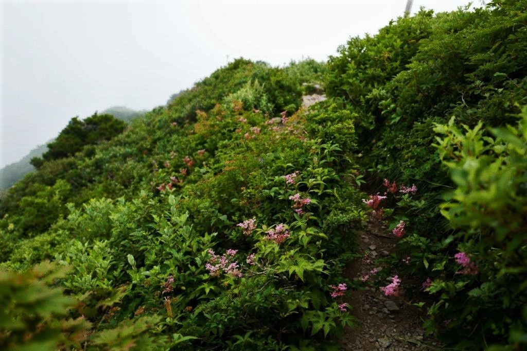 f0365212_13585895.jpg