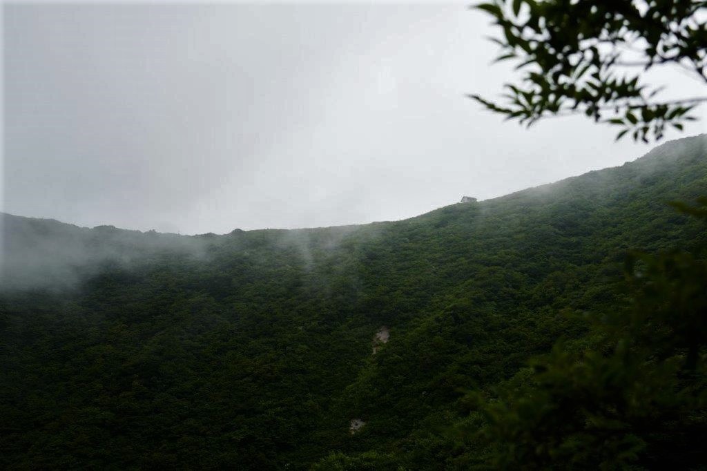 f0365212_13591550.jpg