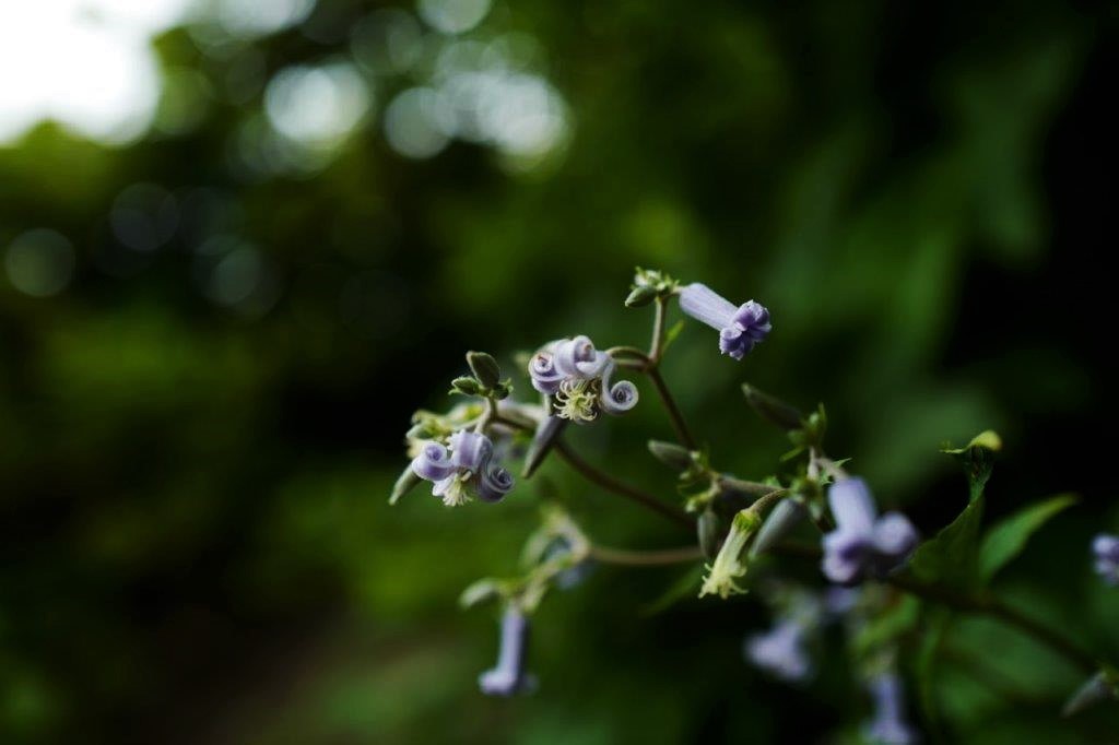 f0365212_13594092.jpg
