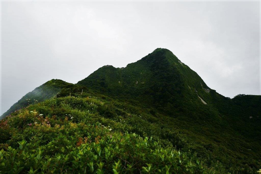 f0365212_15283816.jpg