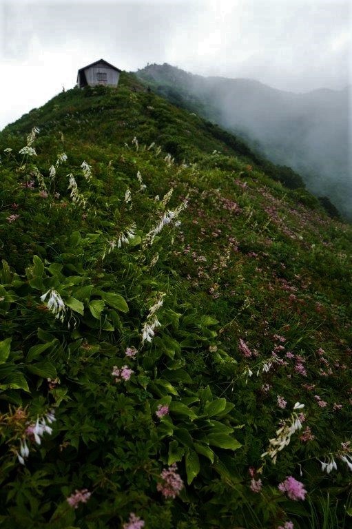 f0365212_15285801.jpg