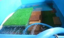 e0143915_20000668.jpg
