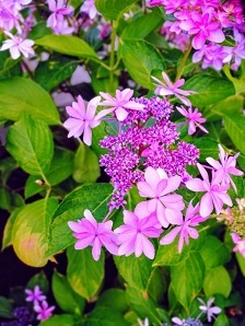 e0359618_12345701.jpg