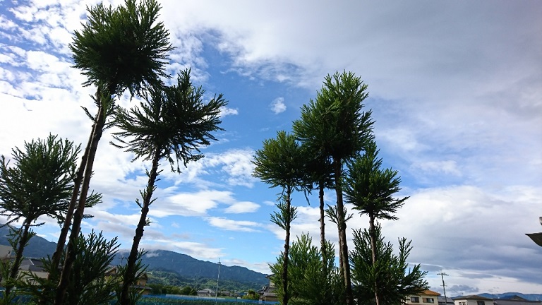 f0228619_94165.jpg