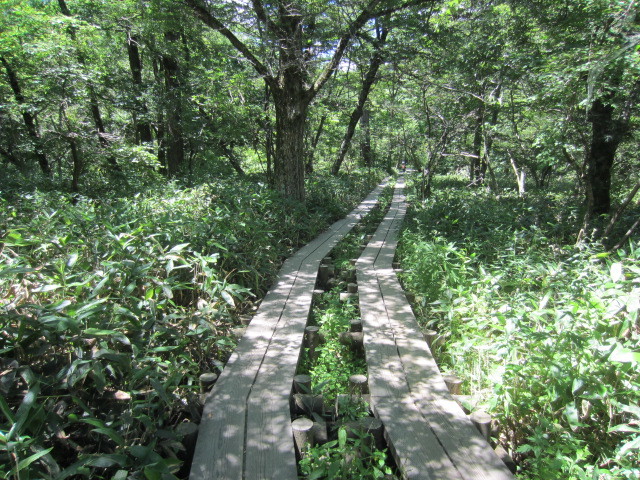 f0016320_10404139.jpg