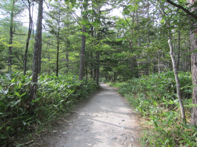 f0016320_10424028.jpg
