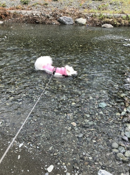 a0323521_15274315.jpeg