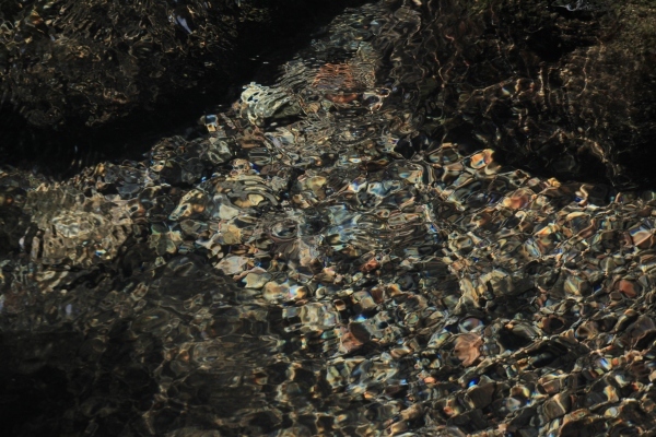 e0242721_08373529.jpg