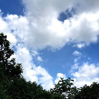 嵐にしやがれ で新曲 夏疾風 披露 嵐会議 に参加して思うこと つれづれなるままに 嵐の大野智君 嵐にしやがれ で新曲 夏疾風 披露 嵐会議 に参加して思うこと つれづれなるままに 嵐の大野智君