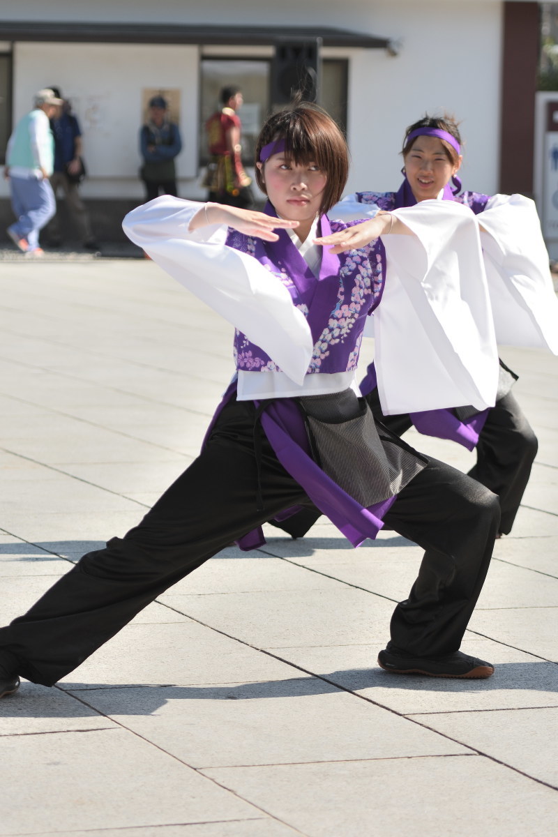 西新井大師よさこいフェスタ2018　「新松戸雅ノ會」さん　千葉県松戸市_c0276323_12424676.jpg