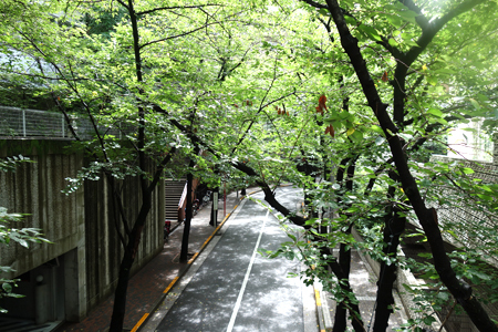 f0097523_16390815.jpg