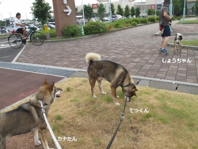f0143123_10060029.jpg