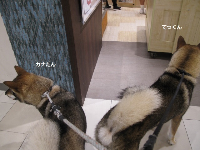 f0143123_10061314.jpg