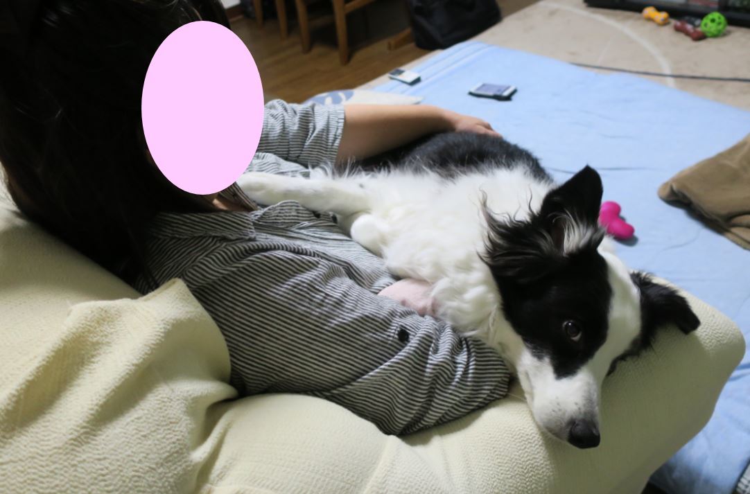 c0147241_22175241.jpg