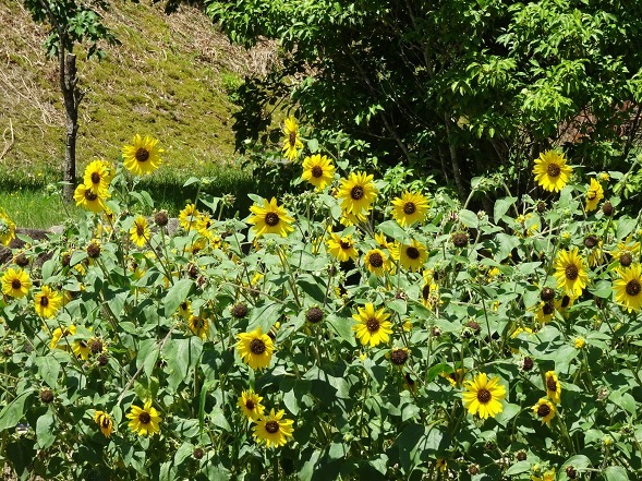 b0299042_10113916.jpg