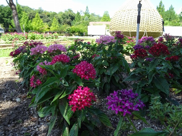 b0299042_10133119.jpg