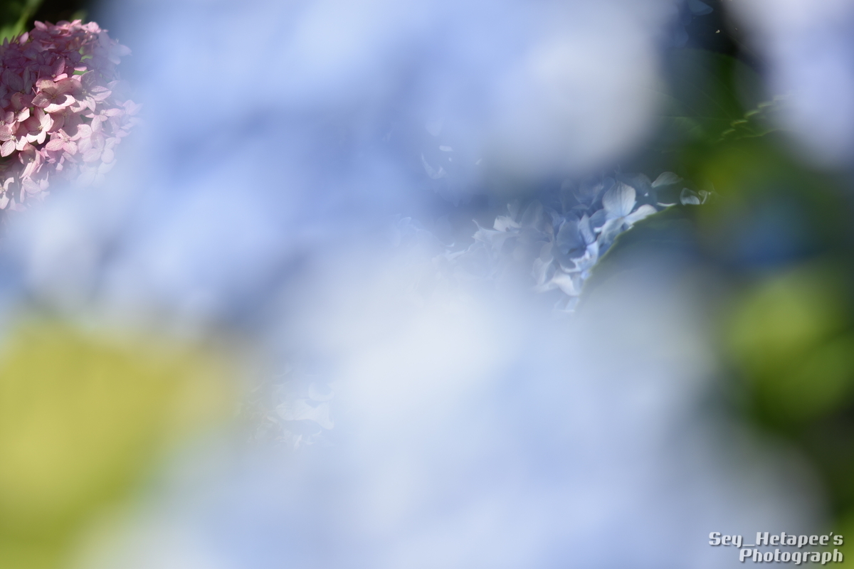 f0166545_21092891.jpg