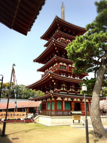 奈良の薬師寺(桜)_e0292546_20245628.jpg