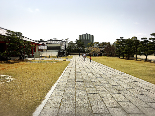奈良の薬師寺(桜)_e0292546_20252448.jpg